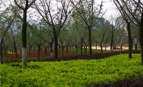 祿勸濱河公園