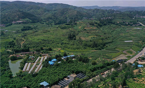 富民苗圃基地